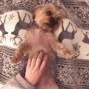 Meet your Posher, Frances